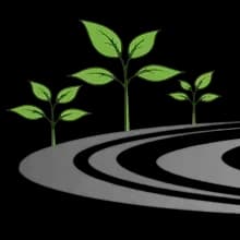 Evergreen Drives & Landscapes logo