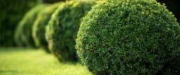 Fairway landscapes and groundwork ltd logo