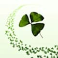 GP Landscaping & Fencing logo