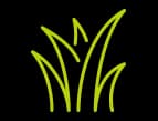 Grassed Up - Artificial Grass logo