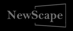 NewScape logo