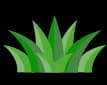 Premium Lawns UK logo