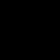 SW fencing and landscaping logo