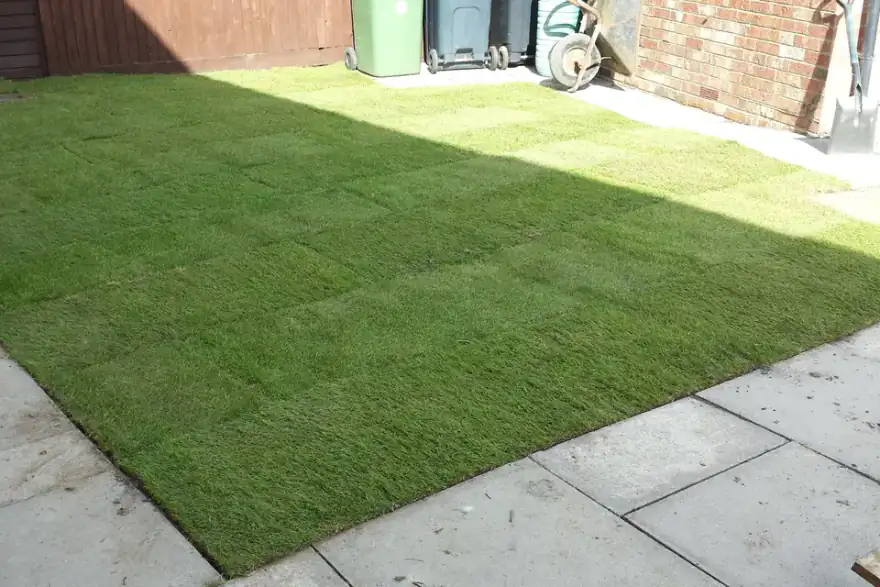 Lawn Turf.jpg