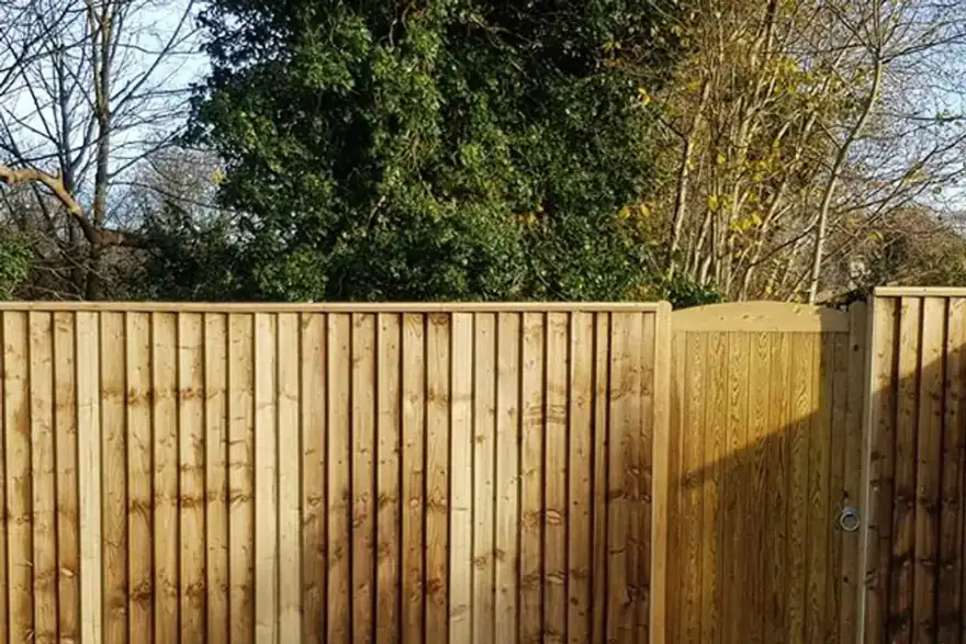 New 6ft high feather board fence with side gate installed in bath today. #featherboardfencing #gardengates