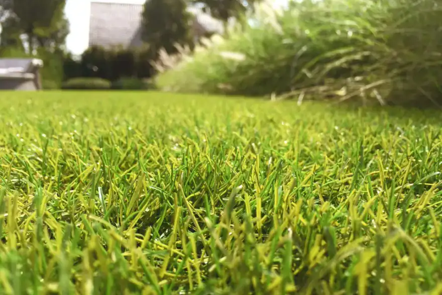 Artificial grass installation by A.B Landscapes