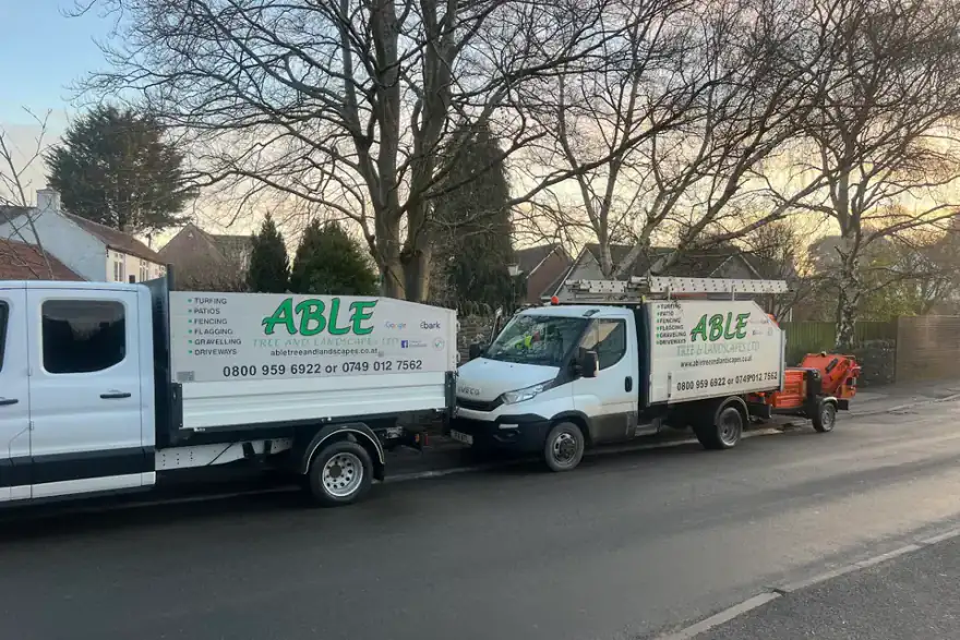 Artificial grass installation by Able Tree and Landscapes Ltd