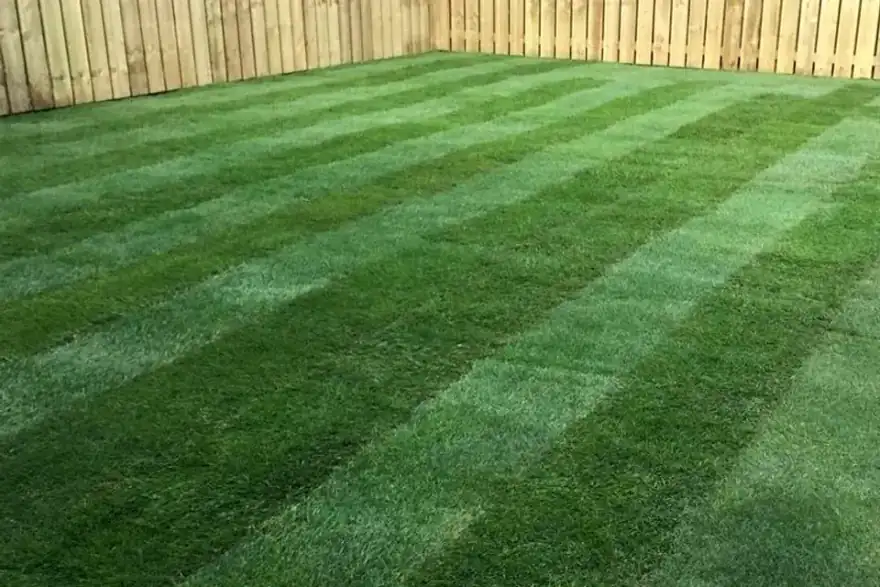rolled laen turf