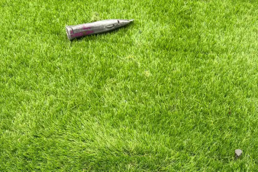 A baseball bat laying on top of a lush green field.