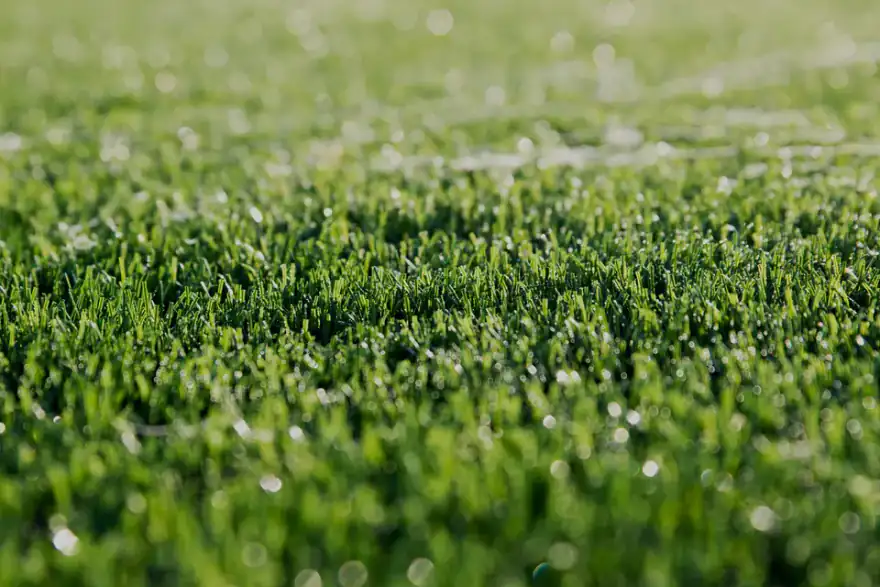 Artificial grass installation by Artificial Grass Llandudno