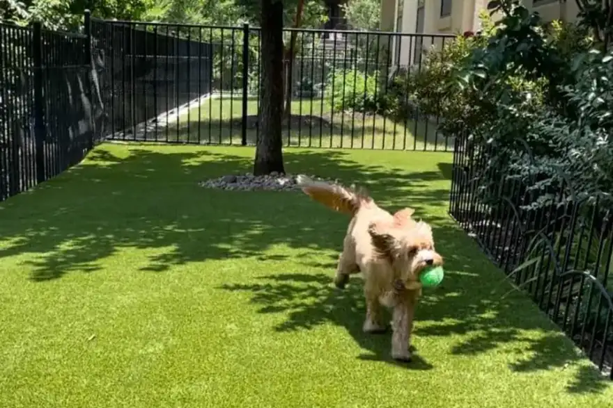Pet-friendly artificial grass installation in Norwich - safe for dogs, cats and children