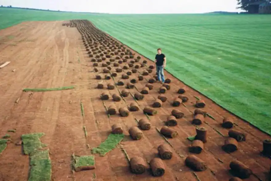Cutting turf