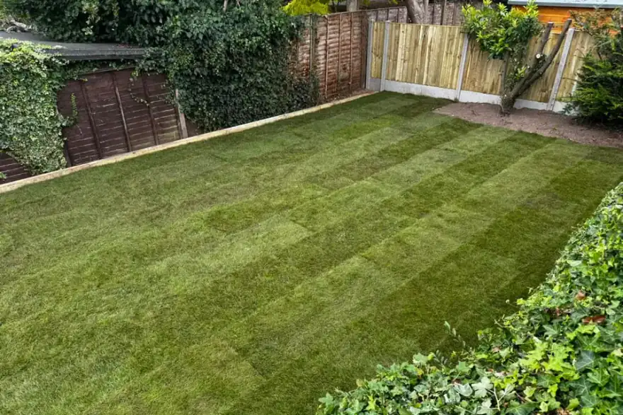 freshly layed lawn at home in malvern