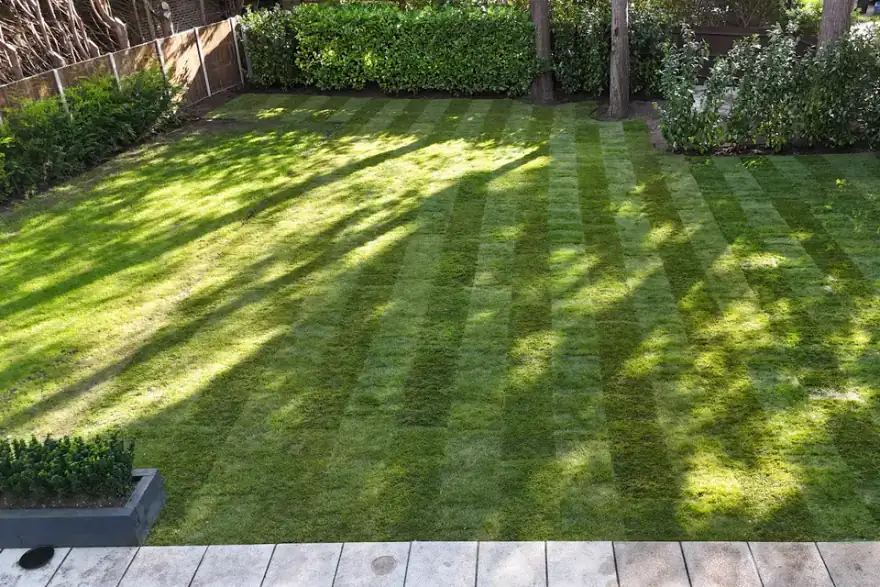 Artificial grass installation by Best Landscape & Gardening Surrey