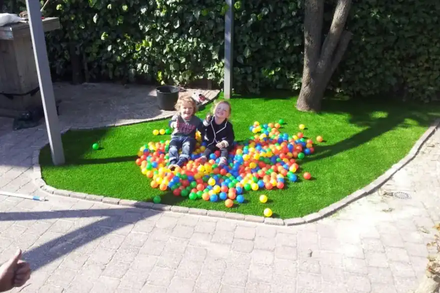 Artificial Grass