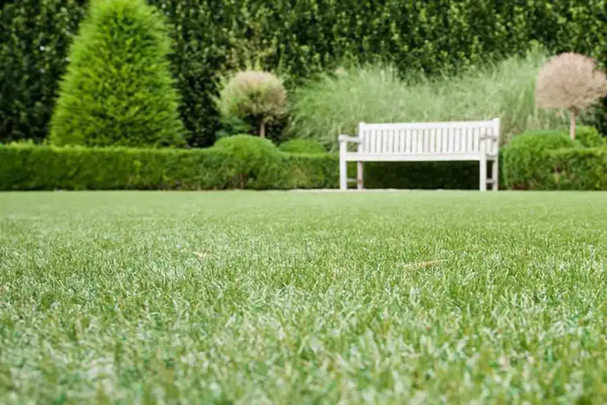 Artificial Grass Derby