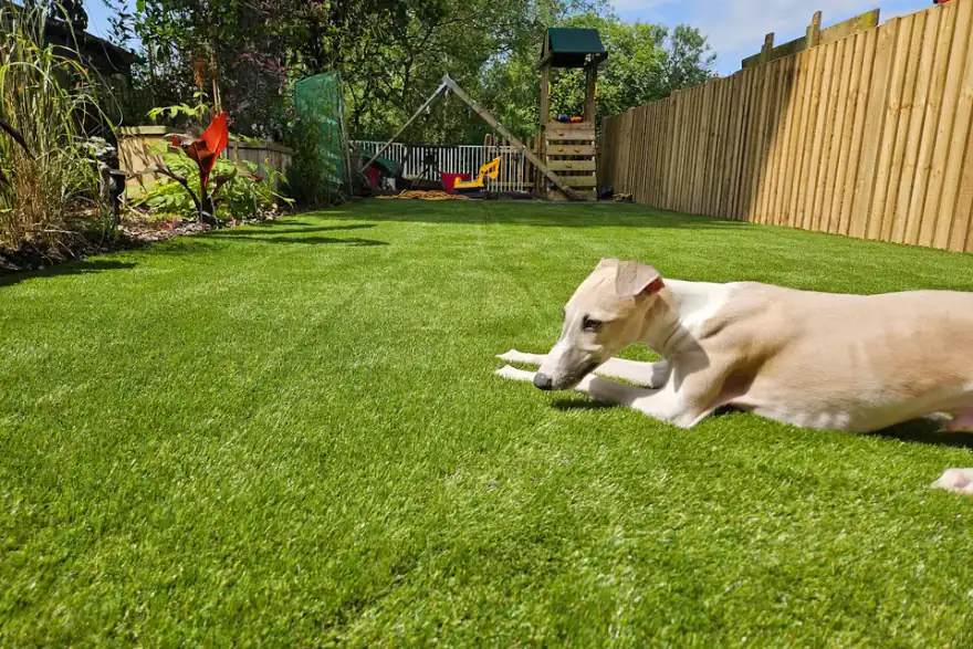 Artificial grass installation by Cheshire Artificial Grass