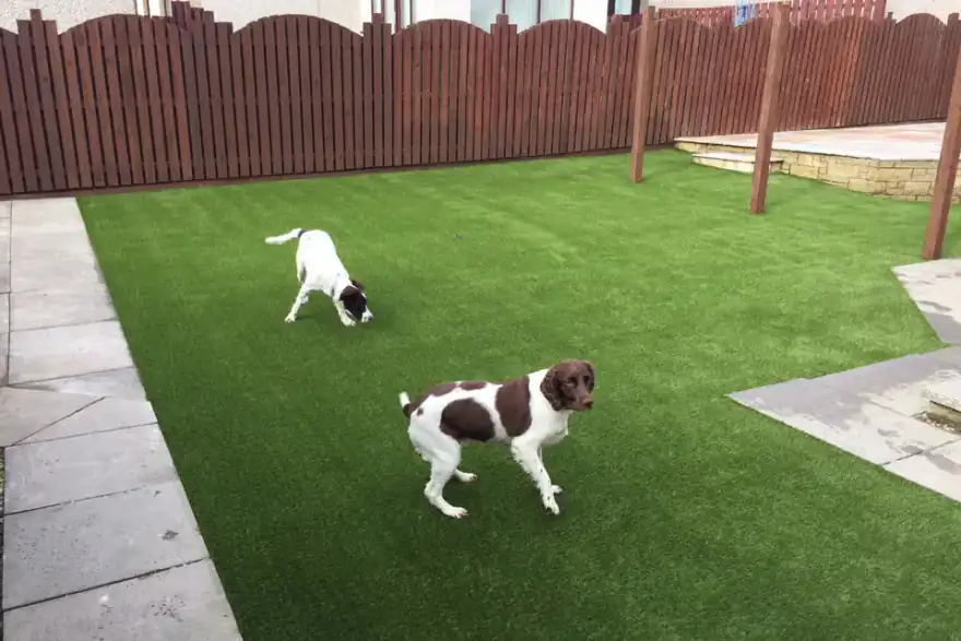 Artificial grass installation by CLS Scotland