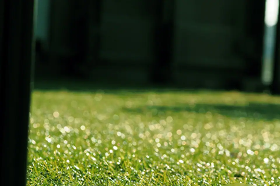 Professional, Affordable Commercial & Residential Lawns, Turfing & Artificial Grass