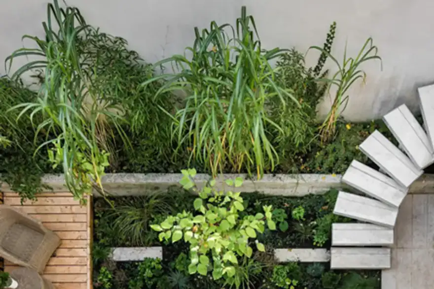 Professional, Affordable Commercial & Residential Landscape Design