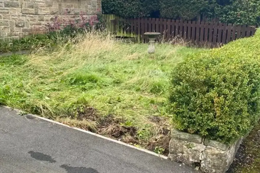 Customer garden before our landscaping work