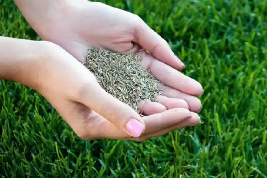 Artificial grass installation by Denmead Turf