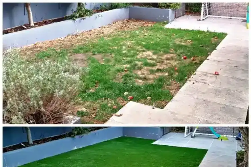 Artificial Grass