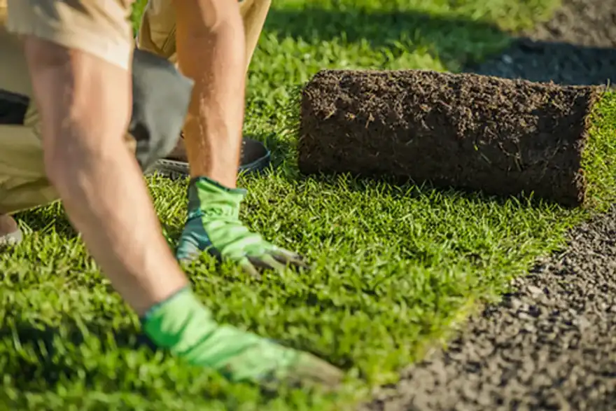 turf laying.png