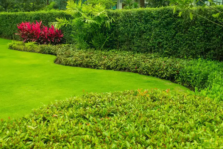 Artificial grass installation by Dixcey Landscapes
