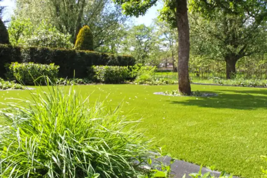 meadow-garden-lawn