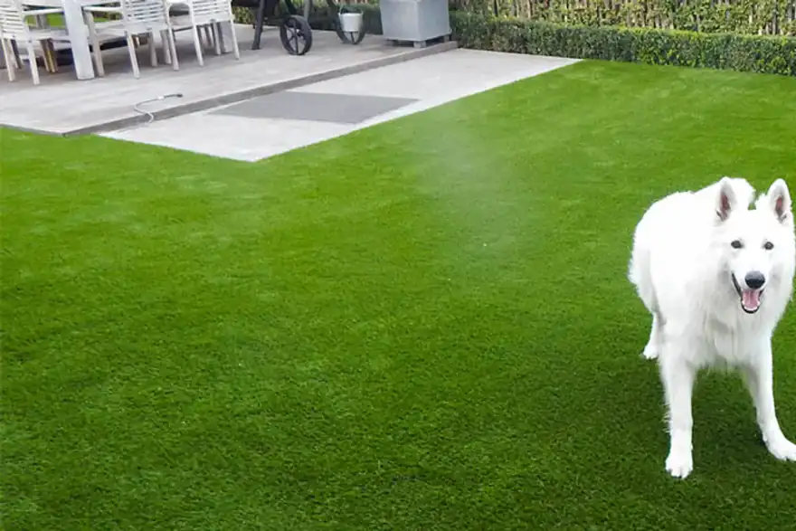 Artificial Grass happy dog