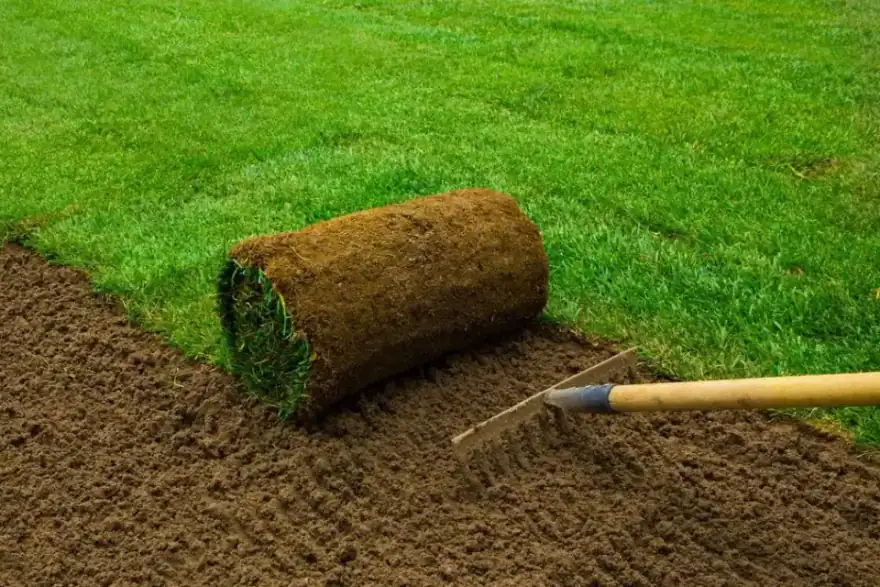 Lawn installation image background image