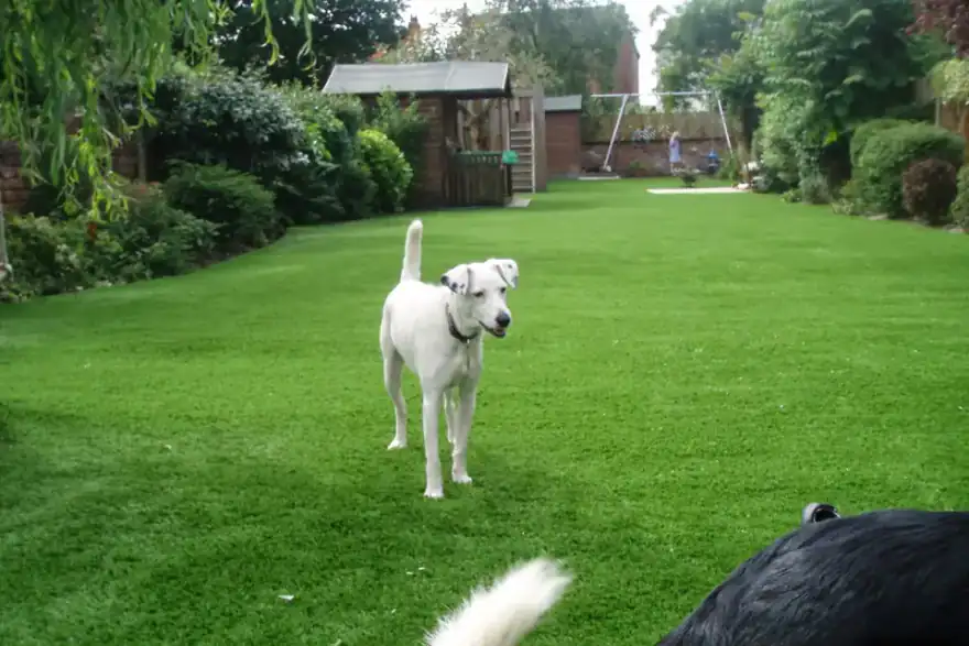 Artificial grass installation by Envirolawn Ltd