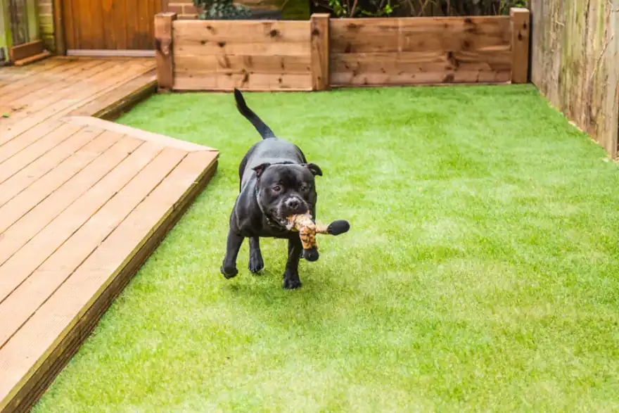 Artificial grass installation by Essex Artificial Turf