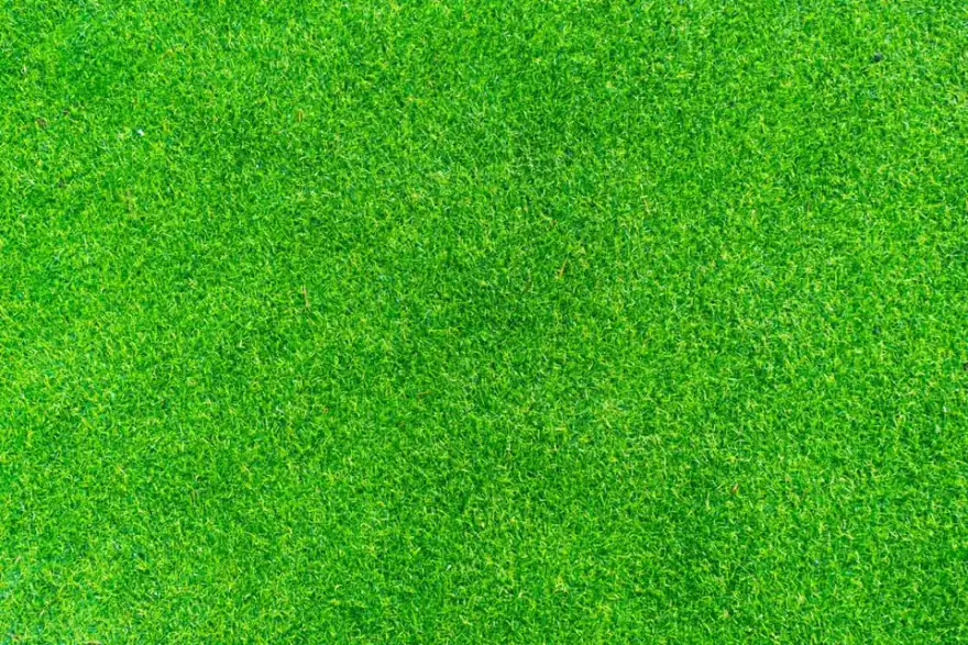 Artificial grass installation by Evergreen Artificial Lawns