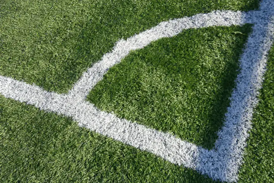 Artificial grass installation by Experts in Synthetic Turf Maintenance