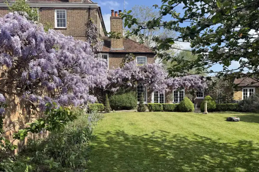 Period house with Wisteria in full bloom and a manicured lawn — Flourish Landscaping, Surrey