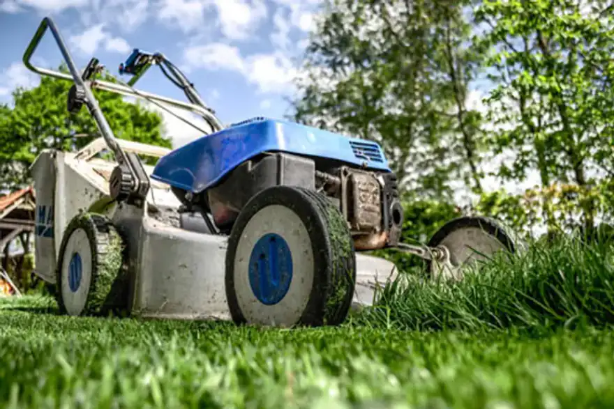 grass cutting lawn mowing Rotherham Sheffield