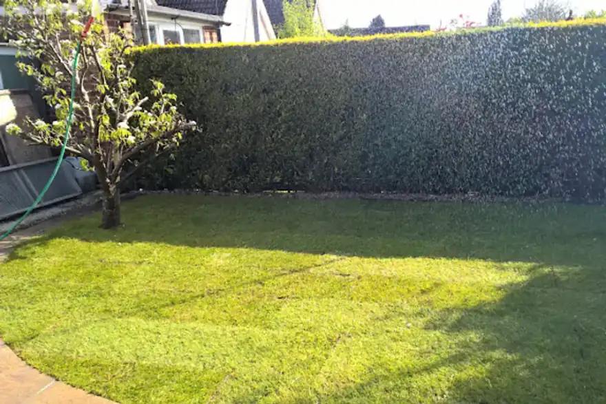 Turf Layer in Eastbourne