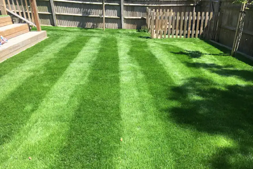 Lawn Care Service in Eastbourne
