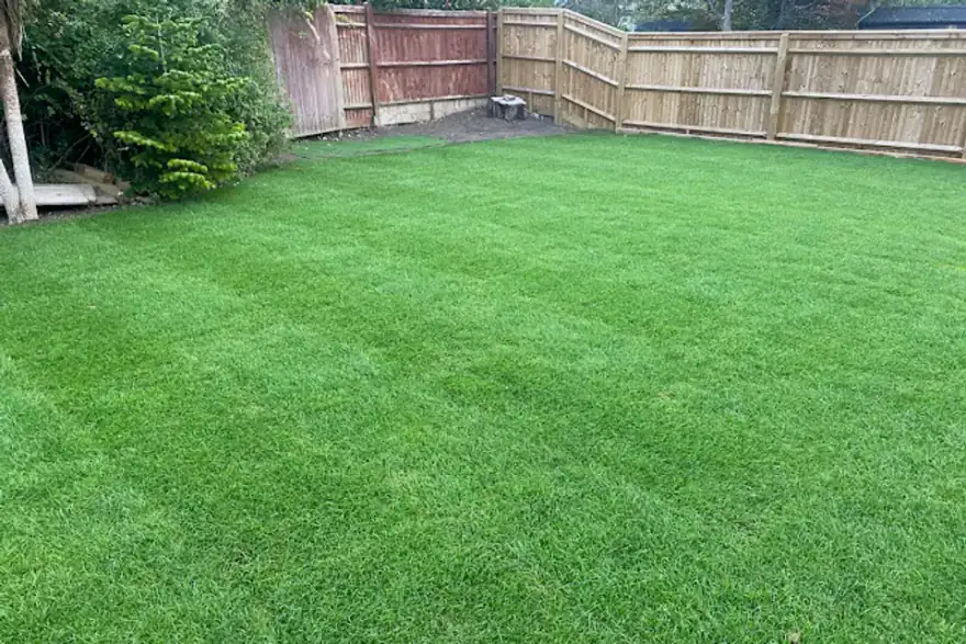 Lawn Care Service in Eastbourne