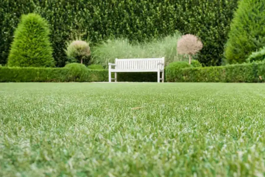 Artificial Grass Installation
