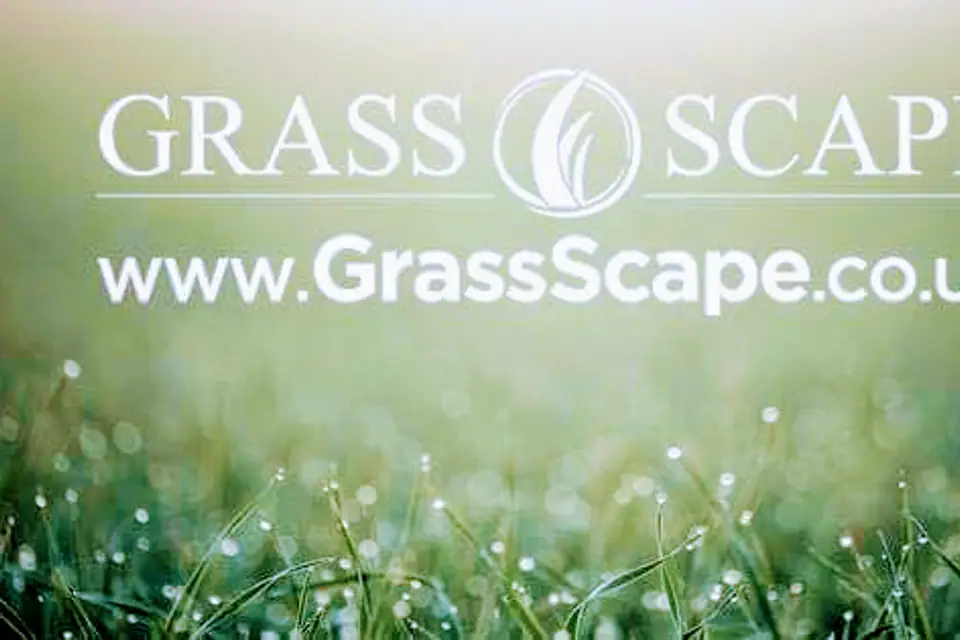 Artificial grass installation by Grass Scape
