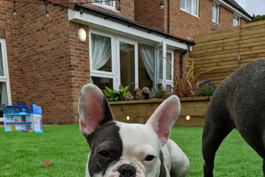 Artificial grass installation by Grass Warehouse