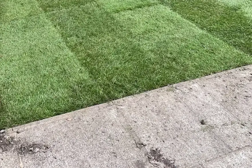 Artificial grass installation by Grasslands of Epsom