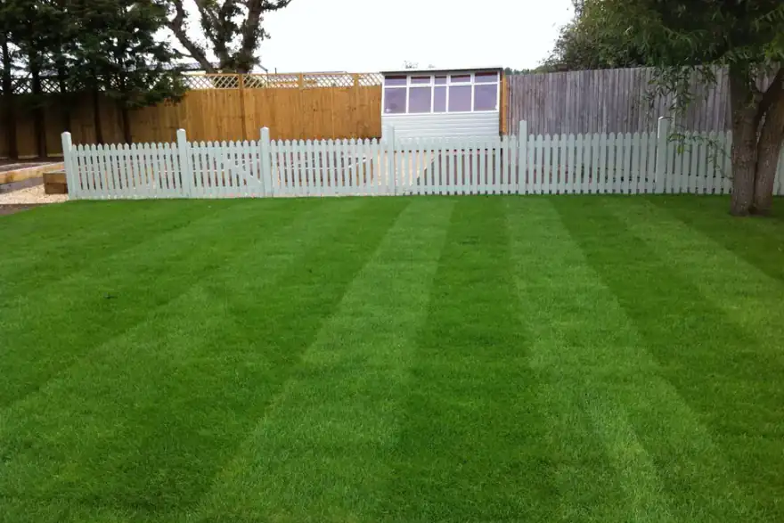 Artificial Lawns and Turf
