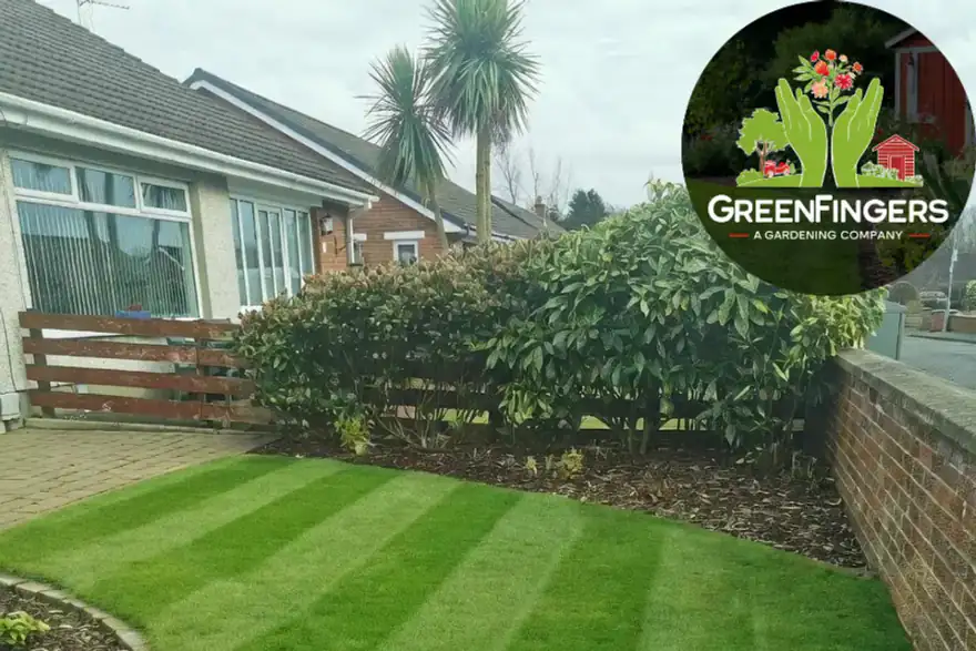 Artificial grass installation by Greenfingers NI / LazyLawn