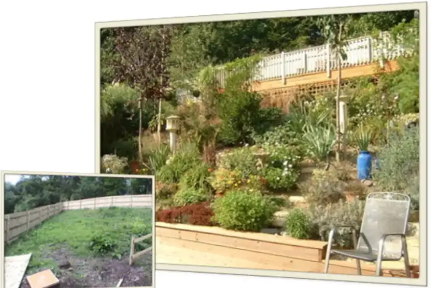 Gallery - Before & After