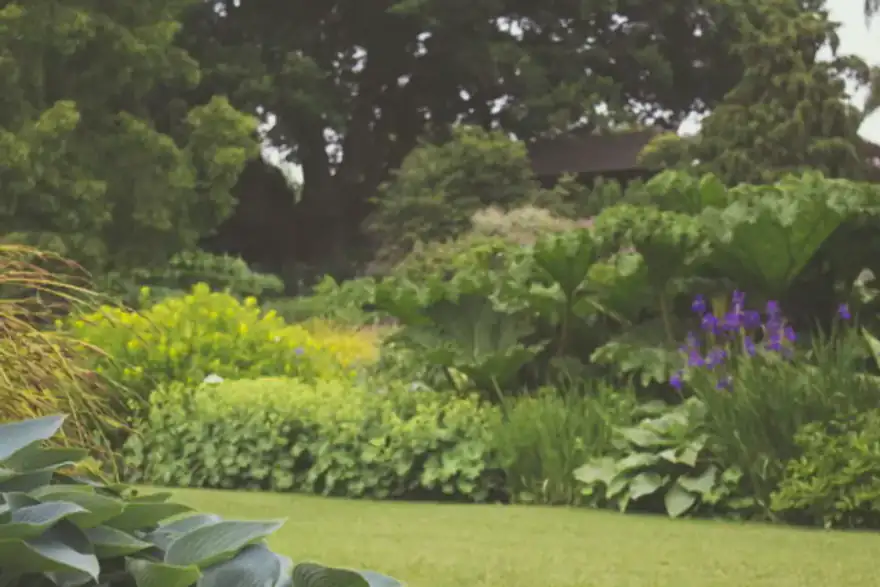 garden