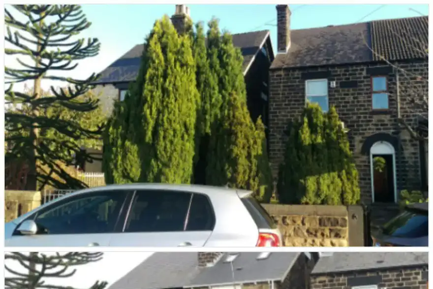 Groundcare Management Ltd